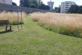 ecopaturage-vouziers